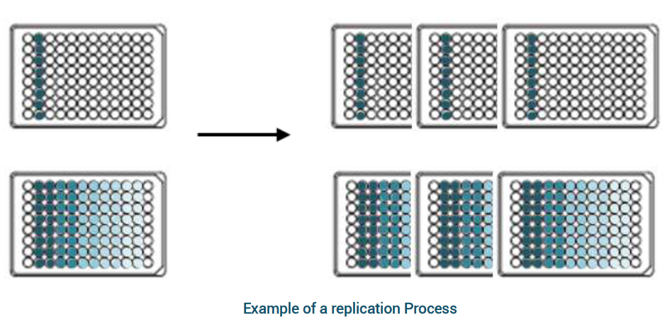 Example of rack replication workflow